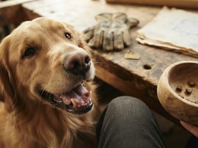 The Ultimate Dogfooding - Hire Your Customers